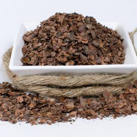 Cacao en Rama
