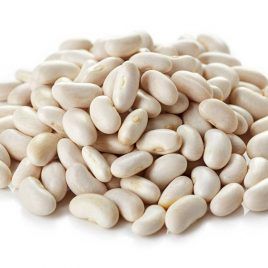 Poroto Blanco Español