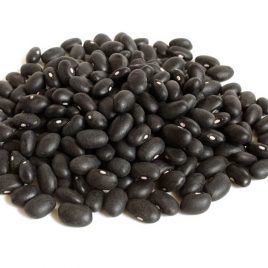 Poroto Negro